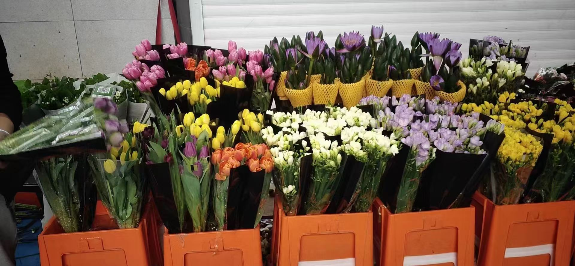 各种花一把